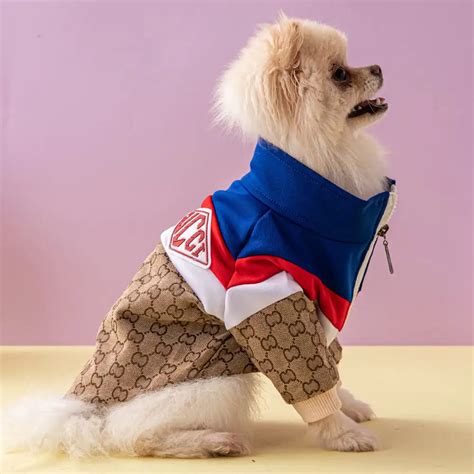 Gucci inspired dog clothes